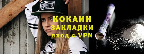 хмурый Гусев