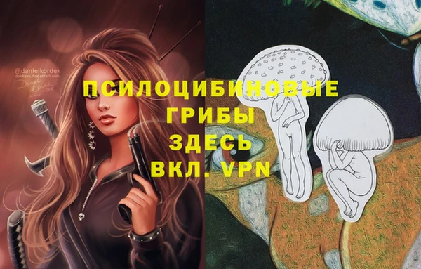 MDMA Гусь-Хрустальный