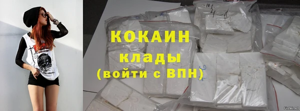хмурый Гусев