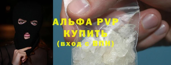 хмурый Гусев