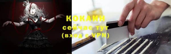 хмурый Гусев