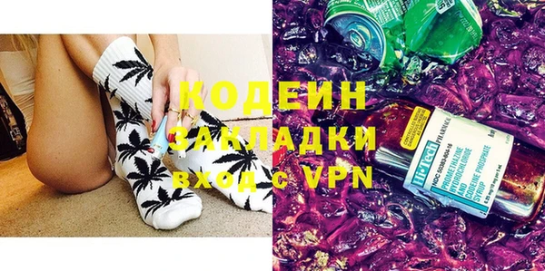 хмурый Гусев