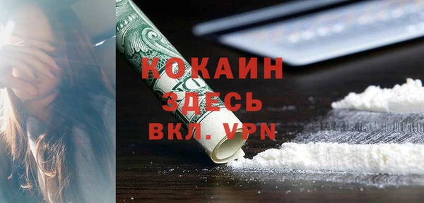 дурь Новодвинск