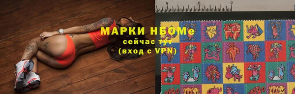 хмурый Гусев