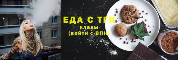 хмурый Гусев
