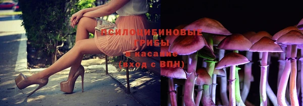 спиды Гусиноозёрск