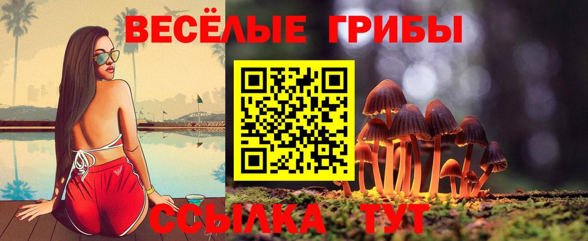 Похвистнево  Галлюциногенные грибы прущие грибы  где можно купить наркотик  Вход с VPN 